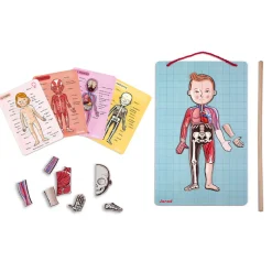 Janod Body Magnet L'Anatomie - 12 langues* Jeux Éducatifs Primaire|Jeux Éducatifs Science & Géographie