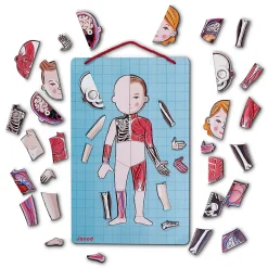 Janod Body Magnet L'Anatomie - 12 langues* Jeux Éducatifs Primaire|Jeux Éducatifs Science & Géographie