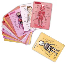 Janod Body Magnet L'Anatomie - 12 langues* Jeux Éducatifs Primaire|Jeux Éducatifs Science & Géographie