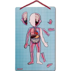 Janod Body Magnet L'Anatomie - 12 langues* Jeux Éducatifs Primaire|Jeux Éducatifs Science & Géographie