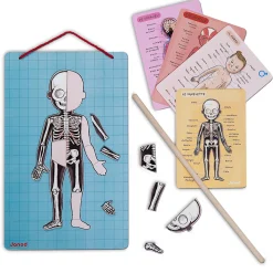 Janod Body Magnet L'Anatomie - 12 langues* Jeux Éducatifs Primaire|Jeux Éducatifs Science & Géographie
