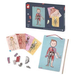 Janod Body Magnet L'Anatomie - 12 langues* Jeux Éducatifs Primaire|Jeux Éducatifs Science & Géographie