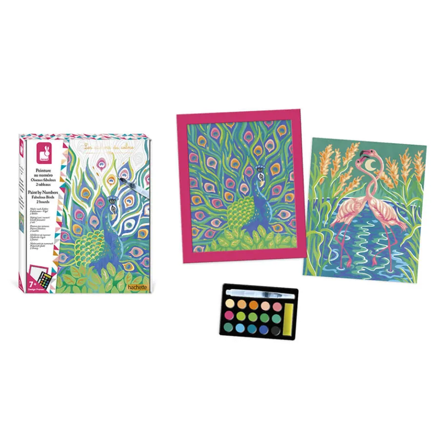 Janod Kit Créatif - Peinture par Numéro Oiseaux Fabuleux* Peinture Par Numéro & Coloriage