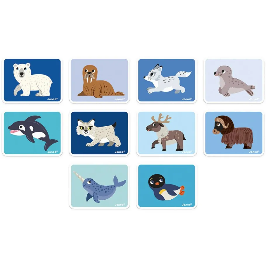Janod Magnéti'book Animaux Polaires* Jeux Éducatifs Maternelle|Jeux Éducatifs Magnétiques