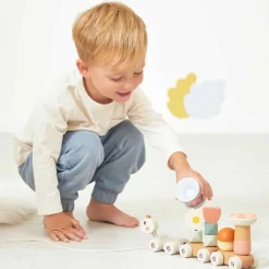 Janod Train à Tirer Sweet Cocoon* Formes & Couleurs|Jouets Magnétiques