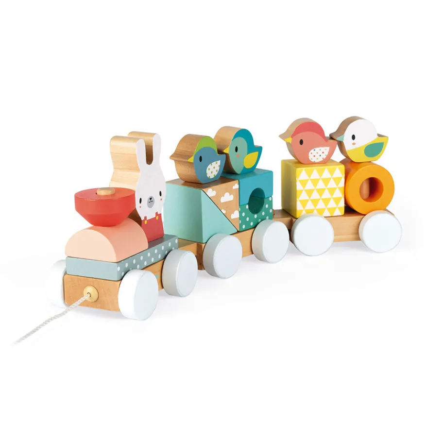 Janod Train Pure (bois)* Trains & Véhicules